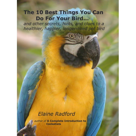 The 10 Best Things You Can Do For Your Bird -