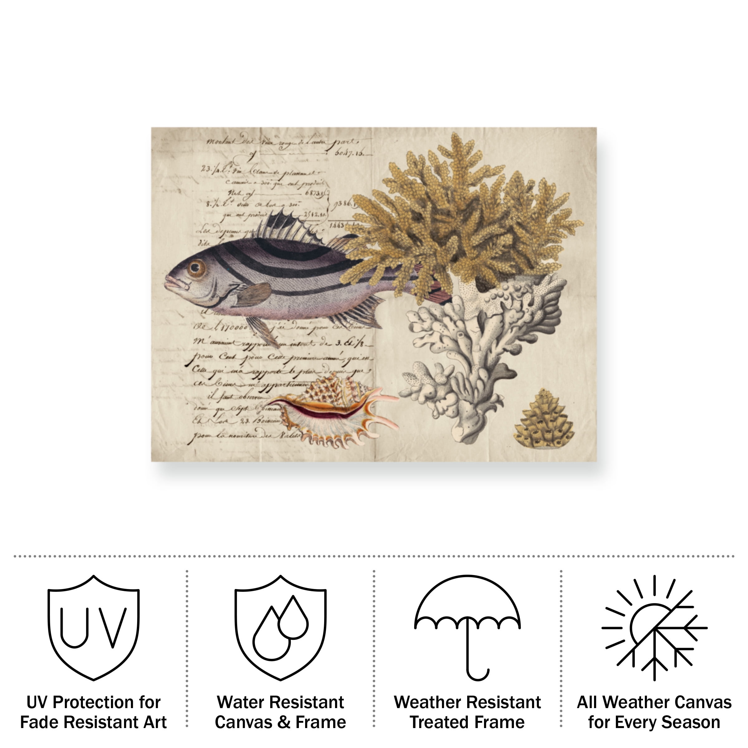 Vision Studio 'Sea Life Journal III' Outdoor Canvas 14x19