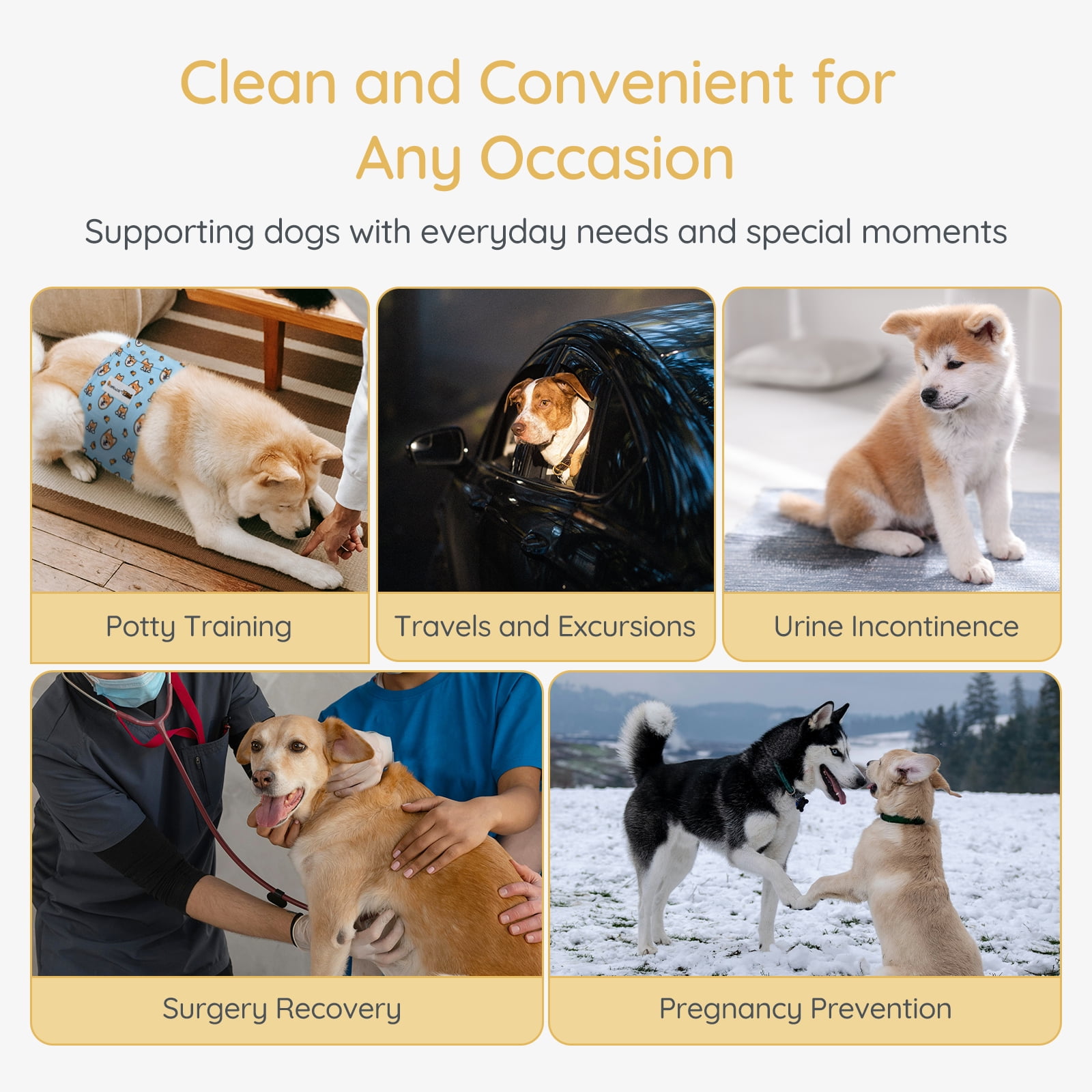 Bella & Pal × PJai & Friends Male Dog Diapers, 3-Pack, Highly Absorbent Washable Diapers for Small Dogs, Leak-Proof Puppy Diapers, XL