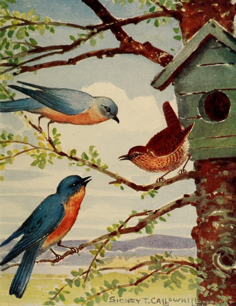Chickadee-dee 1916