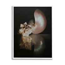 Stupell Industries Dark Sea Shells Still Life Photograph White Framed Art Print Wall Art, Design by Cecile Baird