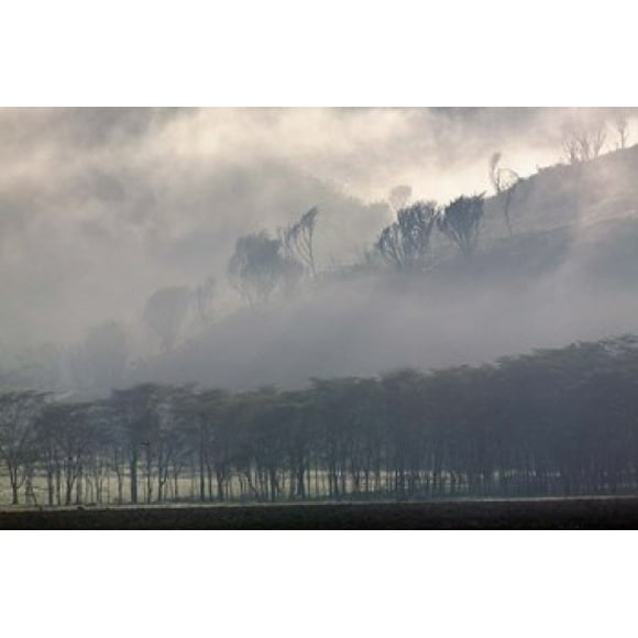 Mist rising from escarpment, Lake Nakuru National Park, Kenya Poster Print by Adam Jones (24 x 15)