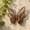 1PCS, variant on Chanana Double Layer Rusty Metal Butterfly Wall Decor, 5.83 x 4.8 inch Vintage Outdoor Fence Wall Art Decor, Rustic Butterfly Wall Sculpture for Garden lawn Yard Patio Balcony, 1PCS