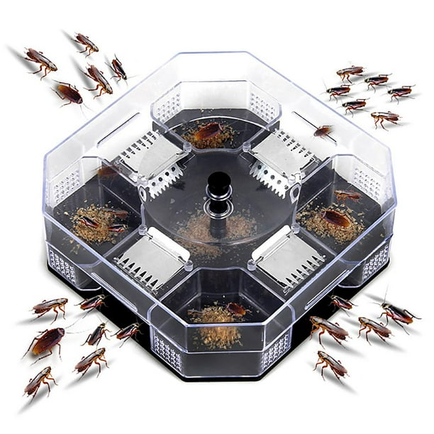 Trampa Para Cucarachas, Trampa Reutilizable Ecológica Para Cucarachas Para Cocina Interior ANGGREK No