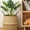 F1, variant on RjnShan Woven Seagrass Belly Basket for Storage Plant Pot Picnic and Grocery Basket, Woven Storage Basket, Decorative Basket With Handle