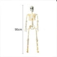 thumbnail image 7 of DefiDgd 35inch Halloween Movable Skeleton Decorations, Simulation Human Skeleton Decorations for Halloween Party Decor, Haunted House Props Indoor Outdoor Decoration(large), 7 of 7