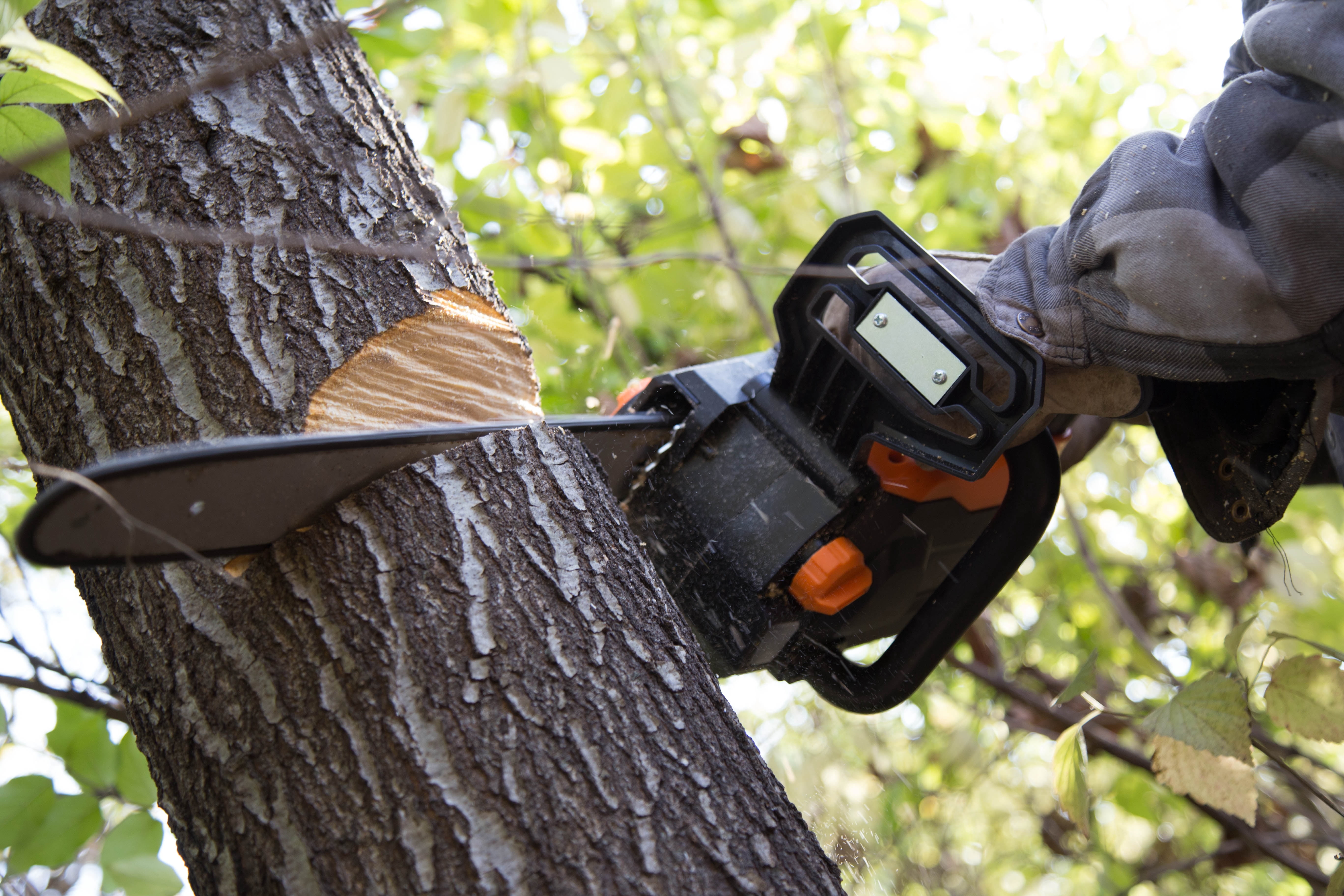 WEN 40V Max Lithium Ion 16-Inch Brushless Chainsaw (Battery Not Included)