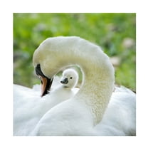 Jacky Parker 'Love Surrounds' Canvas Art