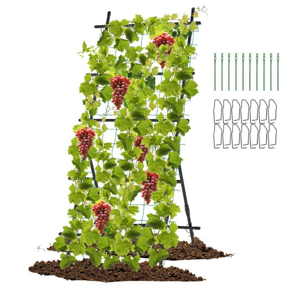 Resenkos 74 Inch Tall Garden Trellis for Flower Vine Vegetable Fruit Pea-Black
