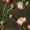 Color 1, variant on Peel and Stick Wallpaper Vintage Botanical Art Print Antique Map Wallpaper for Nursery Bedroom 17.7in x 9.8ft Floral Contact Paper for Cabinets Drawers Removable Wall Paper