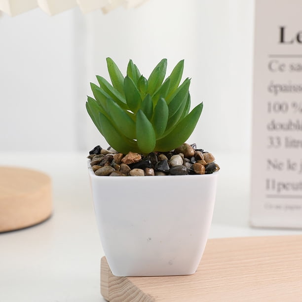 Nvzi 3 plantas artificiales en maceta, pequeñas plantas falsas en maceta, miniplantas artificiales de escritorio para interior, granja, oficina, mesa, estante, decoración de baño (A61)