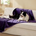 thumbnail image 1 of Manta impermeable para perros Bedsure para perros extragrandes 50x60 cm, 1 of 8