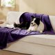 thumbnail image 1 of Manta impermeable para perros Bedsure para perros extragrandes 50x60 cm, 1 of 8