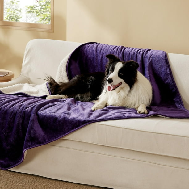 Manta impermeable para perros Bedsure para perros extragrandes 50x60 cm