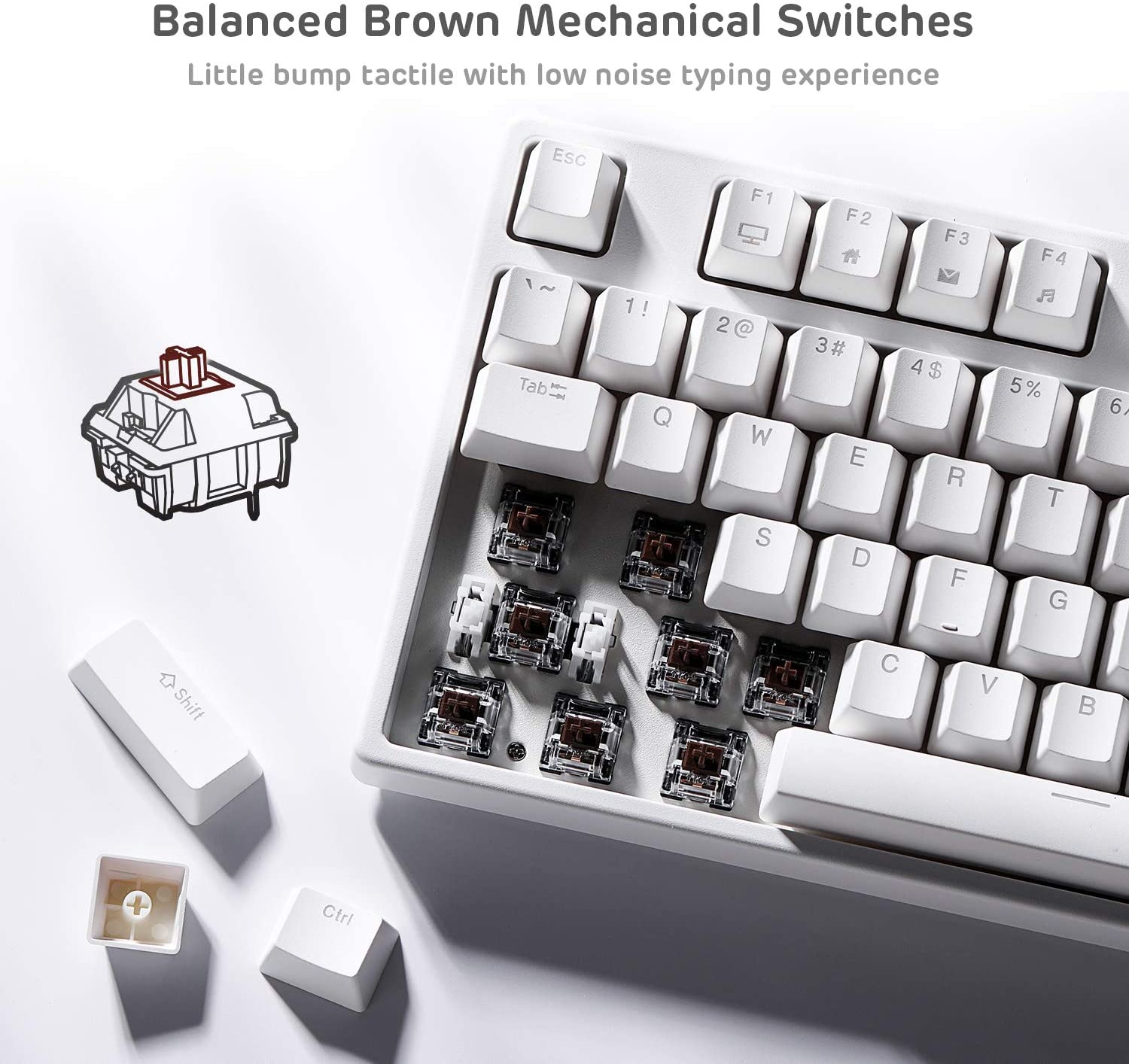 RK ROYAL KLUDGE RK87 Sink87G RGB 80% Mechanical Keyboard, Wireless 2.4G  Tenkeyless Mechanical Keyboard with Programmable Software, 87 Keys, Tactile  Brown Switches