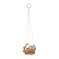 thumbnail image 1 of 2x Perchas de pared para estantería de plantas, macetas colgantes para interiores, macetas decorativas para macetas, perchas de plantas suculentas de Cola Colgador de plantas, 1 of 8