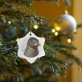 thumbnail image 7 of 3drose, Galapagagos Sea Lion,zalophus Wollebaeki,, 3 inch Snowflake Porcelain Ornament, 7 of 7