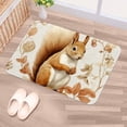 thumbnail image 5 of Squirrel Polyester Non-Slip Machine Washable Bath Rug Door Carpet Chair Rug, 5 of 6