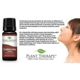 thumbnail image 3 of Plant Therapy Diffusible 100 mL Essential Oil, Organic Frankincense Serrata, 3 of 6