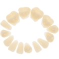 thumbnail image 1 of 1 Box Porcelain Tooth Dental Oral Material Color Shade Guide Teeth Dental Accessories (second Grade 23#), 1 of 2