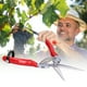 thumbnail image 4 of Tijeras De Jardinería, Cómodas Para Sostener Las Tijeras De Recorte Hechas De Materiales De Alta Con Mango No Deslizante Y Primavera Para Podar Ramas Para Verduras, 4 of 7