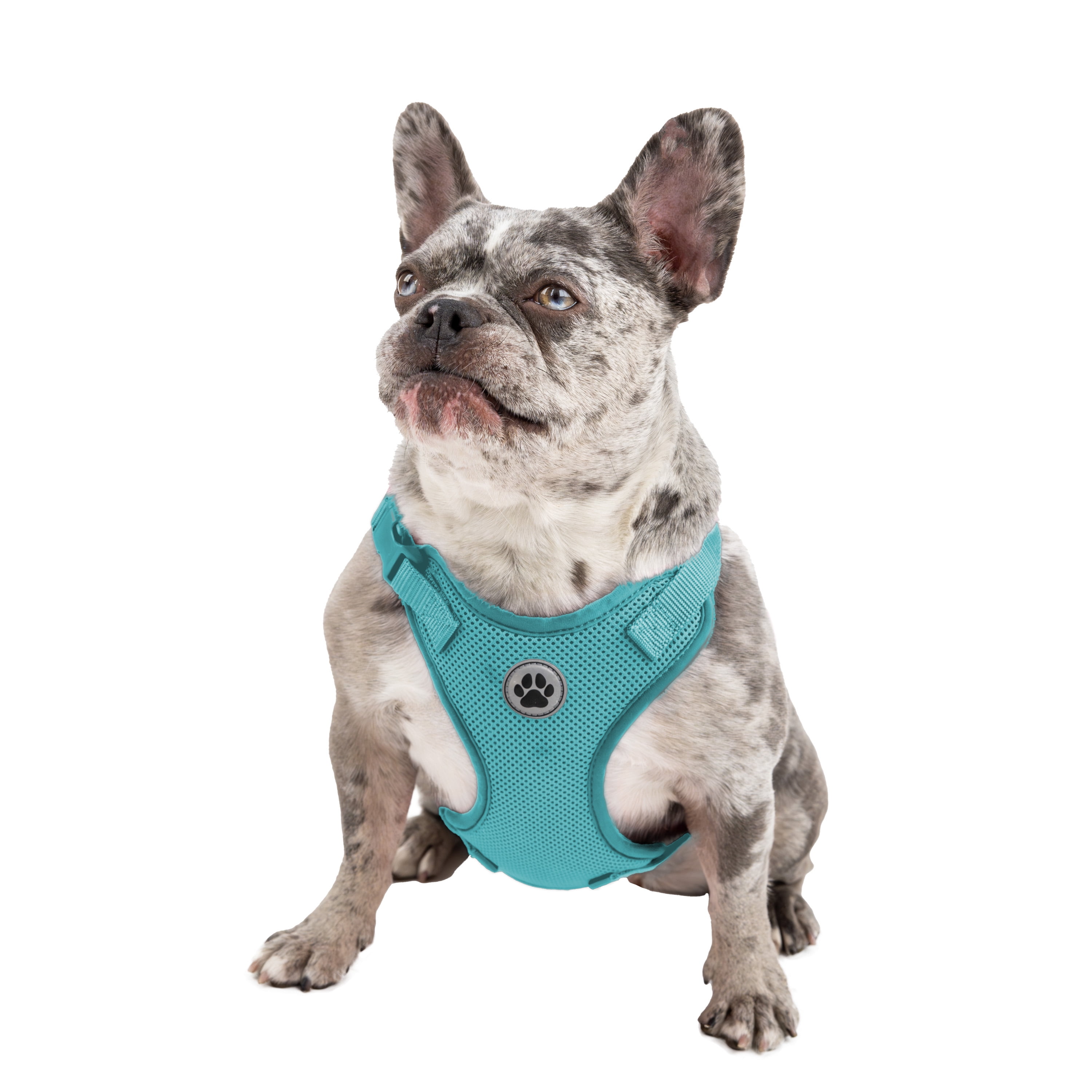 Vibrant Life Polyester Mesh Adjustable and Reflective Dog Walking Harness, Turquoise, M