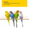 thumbnail image 4 of Aliento Kaytee periquito austriliano forti diet pro health 907 gr. Kaytee Kaytee Alimentos ave, 4 of 5