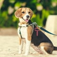 thumbnail image 2 of PBPBOX 5Pcs Dog Leash Bag Clips Assorted Color Durable Handy Hands Free Waste Bag Holders, 2 of 6