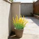 thumbnail image 4 of A Artificial Bostons Ferns UVs Resistants Fade Resistants Plastic Greenerys For Indoor Outdoor Hanging Pots Porch Patio Home Office Decor, 4 of 6