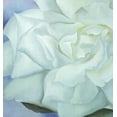thumbnail image 3 of GEORGIA O'KEEFFE White Rose with Larkspur No.2, 2002, 3 of 4