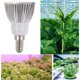 thumbnail image 5 of Lámpara de cultivo de plantas de bombilla LED para cultivo de plantas de flores de interior, jardín de invernadero, E14-28W Kearding HA003523-02, 5 of 6