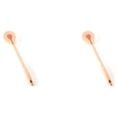 thumbnail image 2 of Cepillos para el cuerpo Naiovety Cepillo de baño largo Scrub Back 2Conjunto Rosa, 2 of 6