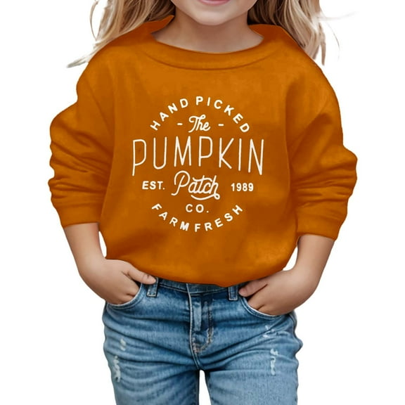 Kiijoy Toddler Girls Fall Sweatshirt Pumpkin Letter Crew Neck Pullover Top, Sizes 3-4