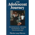 thumbnail image 1 of Pre-Owned Adolescent Journey (Paperback) 0765702851 9780765702852, 1 of 2