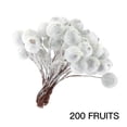 thumbnail image 1 of Bayas de frutas artificiales DIY guirnalda de frutas guirnalda fiesta en casa DIY espuma decoraciones de bayas falsas 200 Piezas kenally HA6342-00B, 1 of 6