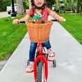 thumbnail image 1 of HEALEEP kids bike basket front Bike Basket Handmade Wicker Light Brown 1Set, 1 of 5