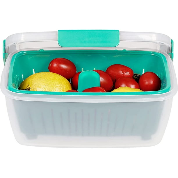 Loobuu 68oz Berry Keeper Container, Fruit Produce Saver Food Storage