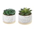 thumbnail image 1 of Faux Succulent Marble Planter with Wood Base - Set of 2, 1 of 1