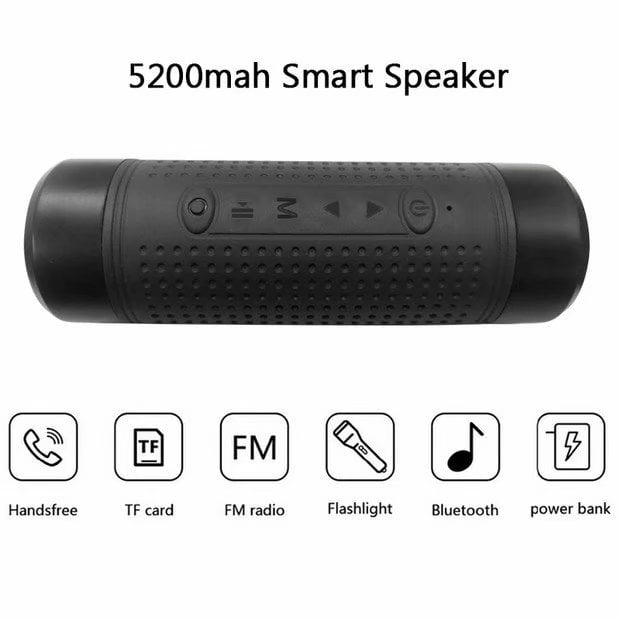 walmart smart speaker