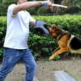 thumbnail image 3 of Mascota Perro Mordedura Manga Perro Masticar Juguete Jugar Juguete Fuerte Durable Perro Tug of War Juguetes Suministros para mascotas para Bullmastiff Colco Protección de manga de mordida, 3 of 8