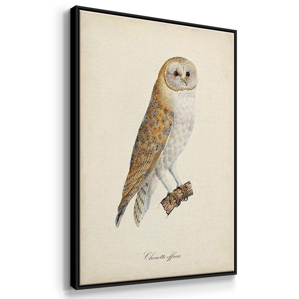 French Owls IV - Framed Premium Gallery Wrapped Canvas L Frame 3 Piece Set - Ready to Hang