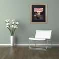 thumbnail image 3 of Trademark Fine Art "Potato Rock" Canvas Art by Michael Blanchette Photography Black Matte, Birch Frame, 3 of 4