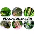 thumbnail image 2 of TIERRA DE DIATOMEA, 2 of 6