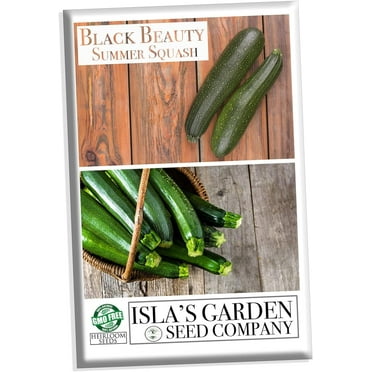 Black Beauty Summer Squash Seeds for Planting, 25  Heirloom Seeds Per Packet, Non GMO Seeds, Botanical Name: Cucurbita Pepo, Great Home Garden Gift