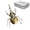 Dynastes, variant on Grasshopper Model Kit, 177PCS 3D Metal Puzzle, DIY Steampunk Insect Assembly, Quick 1-Hour Build, Desk Decor & Gift for Adults