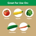 thumbnail image 2 of Miracle-Gro Water Soluble Tomato Plant Food, 3 lbs., 2 of 7