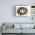 thumbnail image 3 of Samuel Dixon 'Nesting Eggs III' Canvas Art, 3 of 3