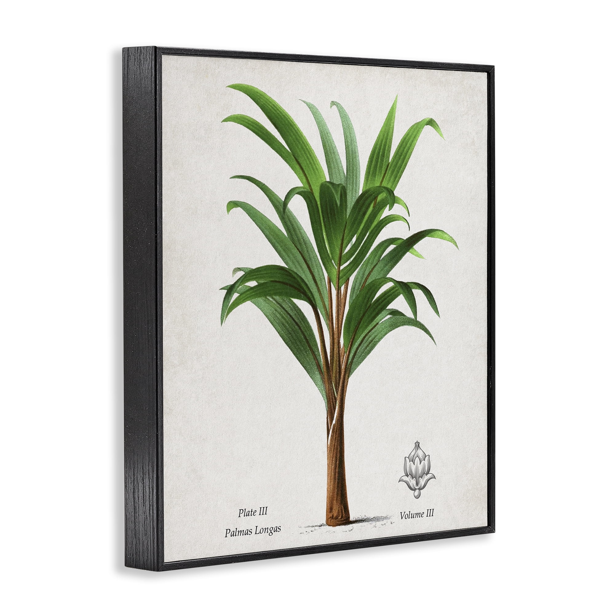 Stupell Industries Palmas Longas Palm Tree Black Framed Giclee Art, design by Val Rhodes