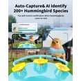 thumbnail image 2 of Comedero para colibríes HARYMOR con cámara, solar, fácil de limpiar, 2 of 7