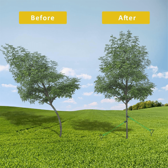 Tree Stake Kit, Heavy Duty Spiral Tree Stakes and Supports for Leaning Trees and Young Trees Straightening Black